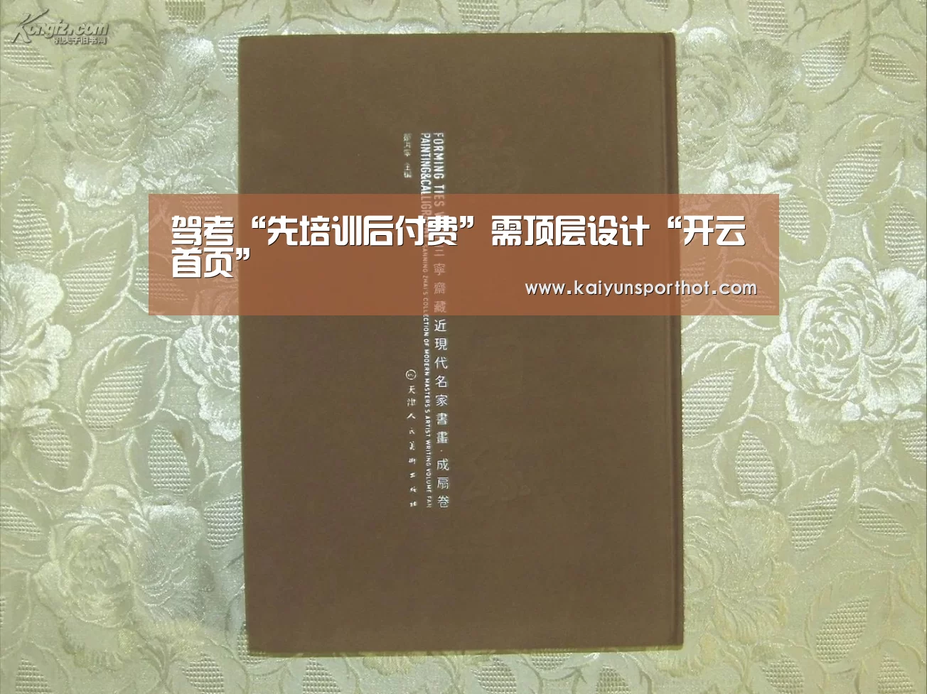 驾考“先培训后付费”需顶层设计“开云首页”(图2) 开云首页