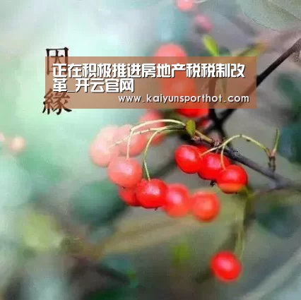 开云官网