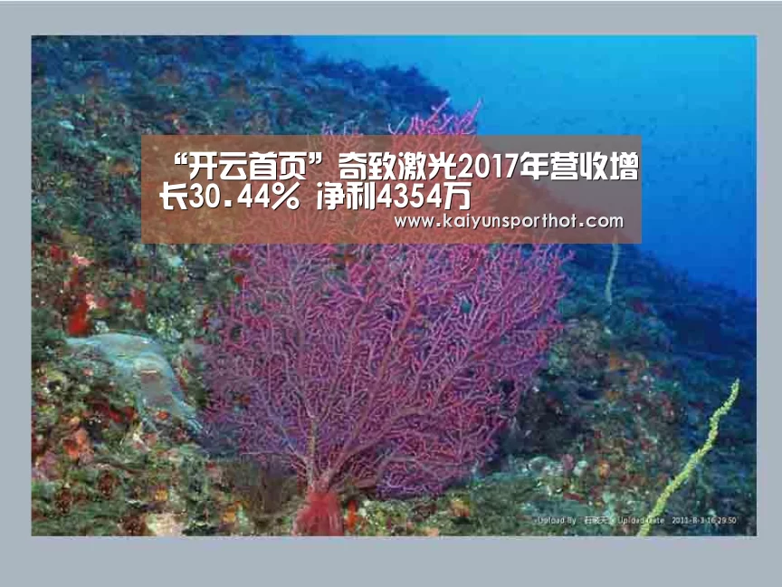 “开云首页”奇致激光2017年营收增长30.44% 净利4354万(图3) 开云首页