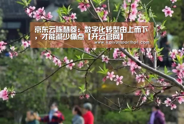 京东云陈慧菱:数字化转型由上而下,才能减少痛点【开云官网】(图2) 开云竞技